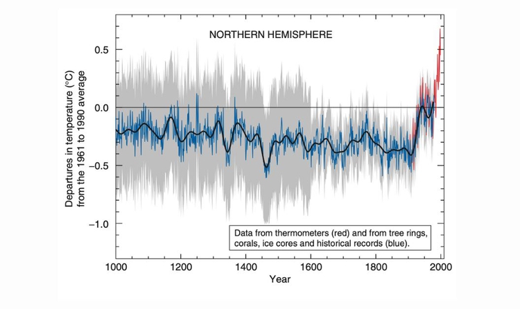 The ‘hockey stick’ climate graph, depicting an unprecedented rise in temperatures in the 20th century, is reliable